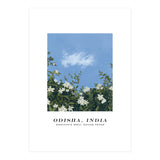 Odisha, India (Print Only) thumbnail