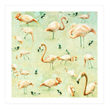 Flamingos (Print Only) thumbnail