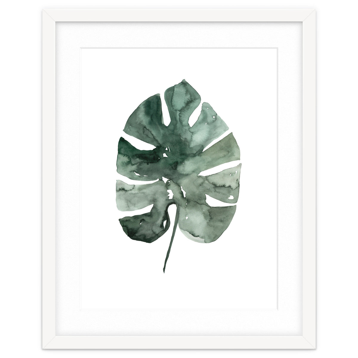 Botanical Illustration Monstera Leaf
