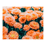 February (Print Only) thumbnail