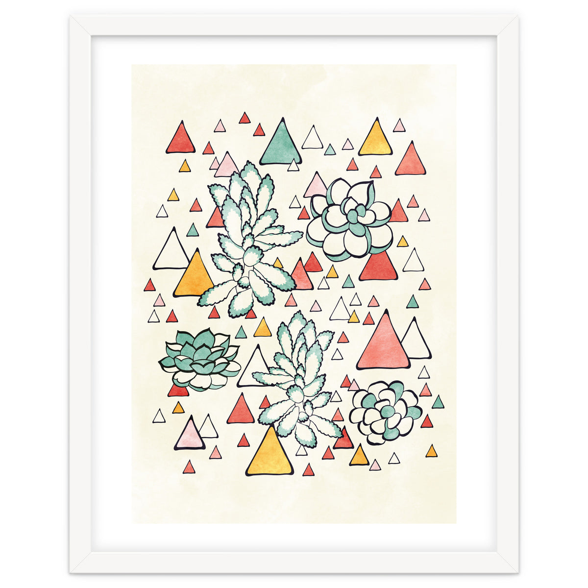 Succulent And Triangles