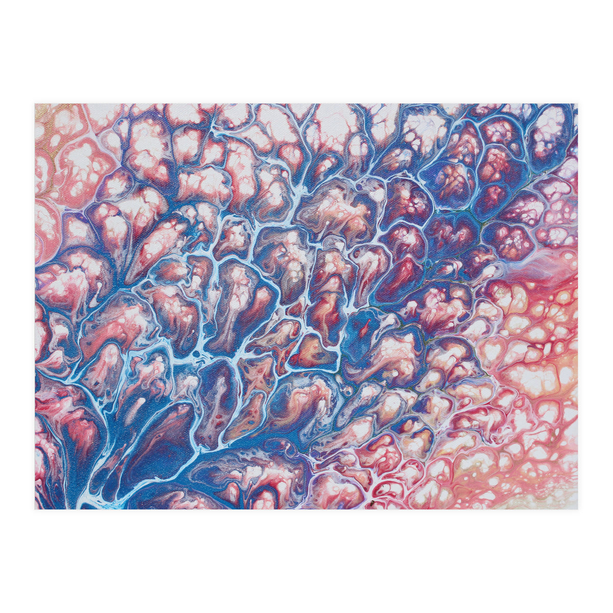 Coral Sea (Print Only)