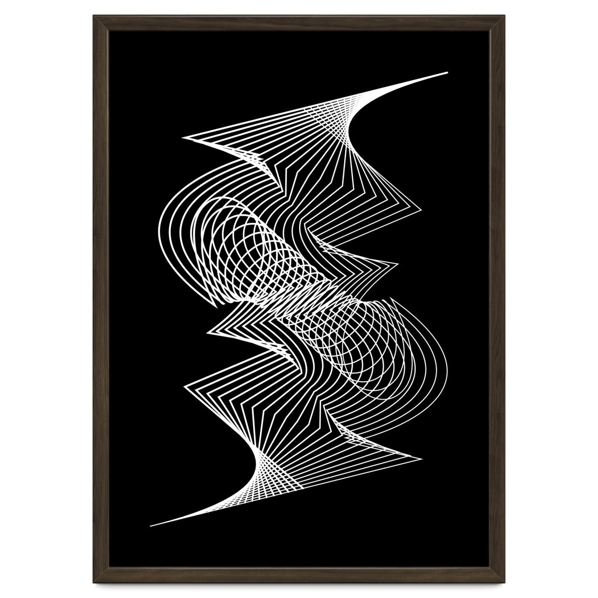 Organized Chaos_Black