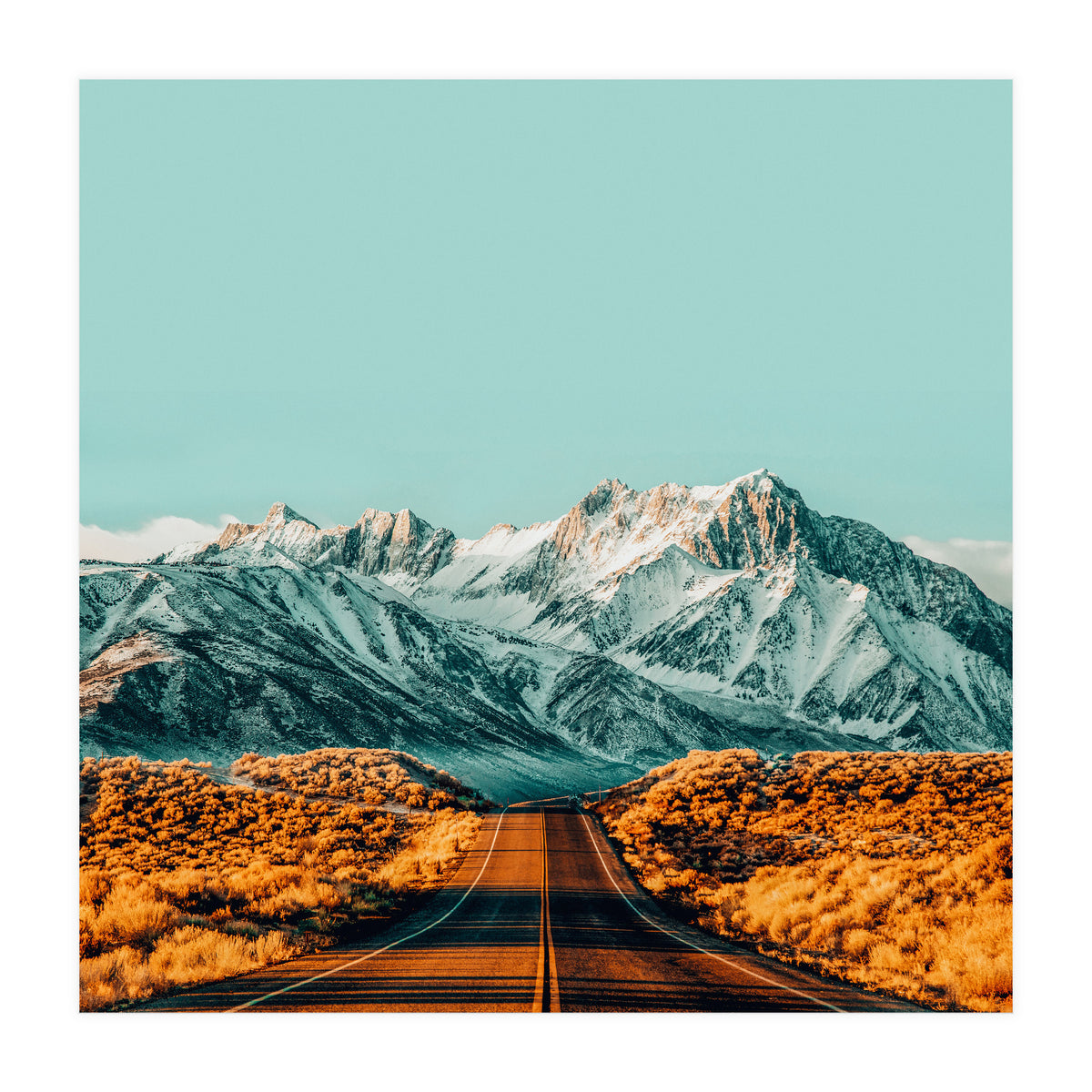 The Road Less Traveled (Print Only)