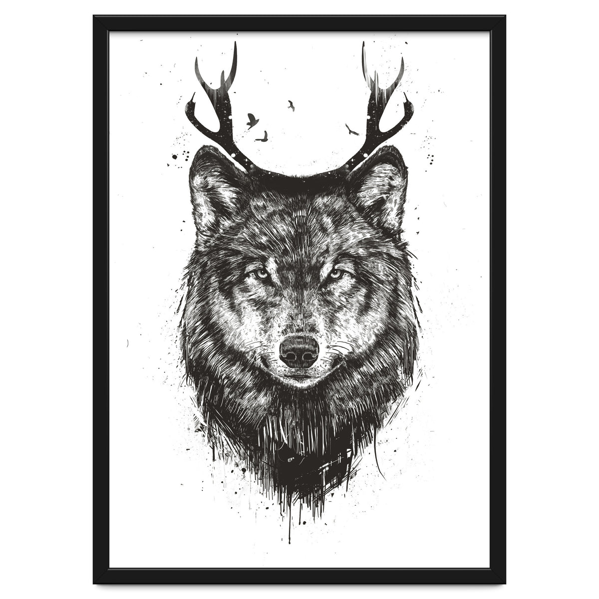 Deer Wolf Bw