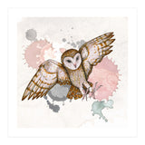 Attacking barn owl (Print Only) thumbnail