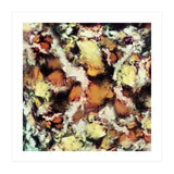 Fractured Viewpoint (Print Only) thumbnail