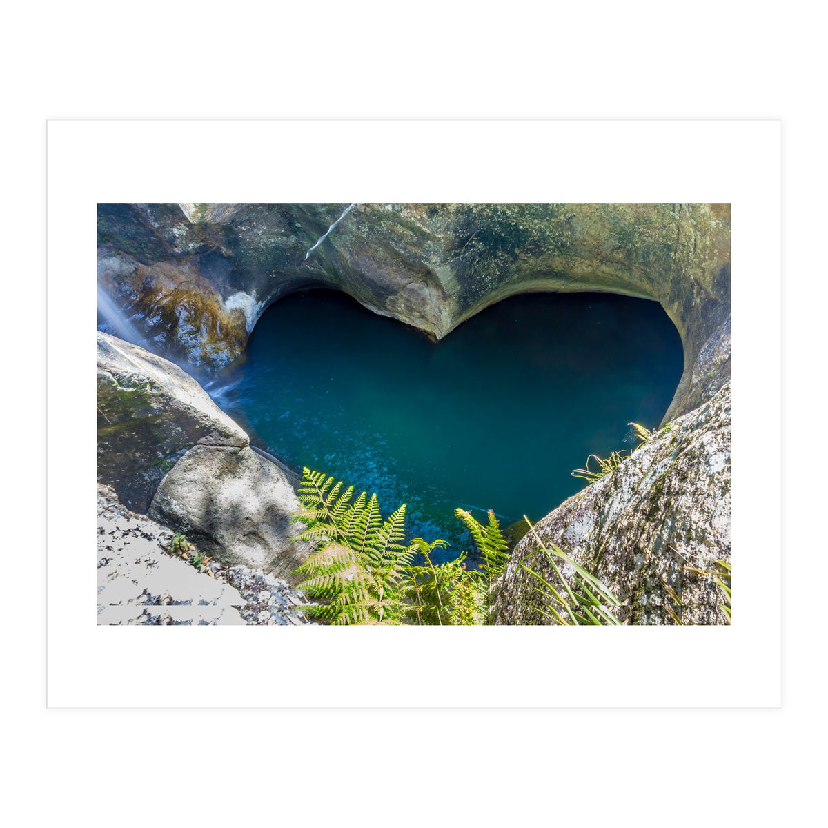 Nature (Print Only)