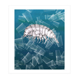 Eurythenes Plasticus (Print Only) thumbnail