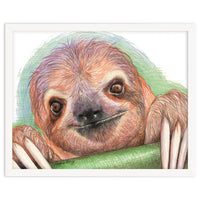 Smiling Sloth