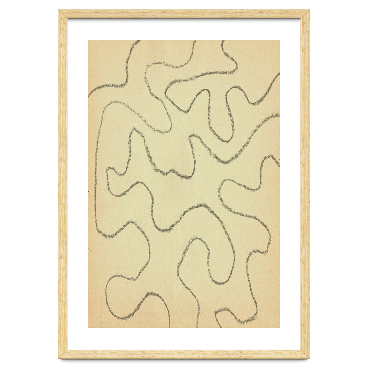 Abstract organic lines