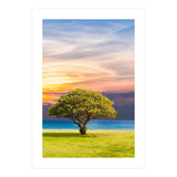 TREE with Great SKY (Print Only) thumbnail