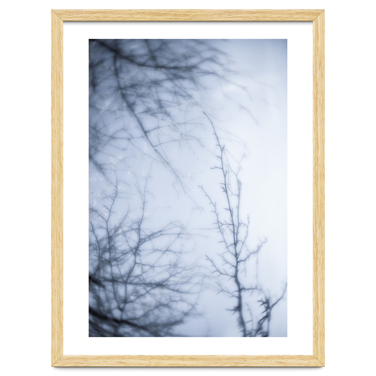 Forgotten Memories of Summer #21