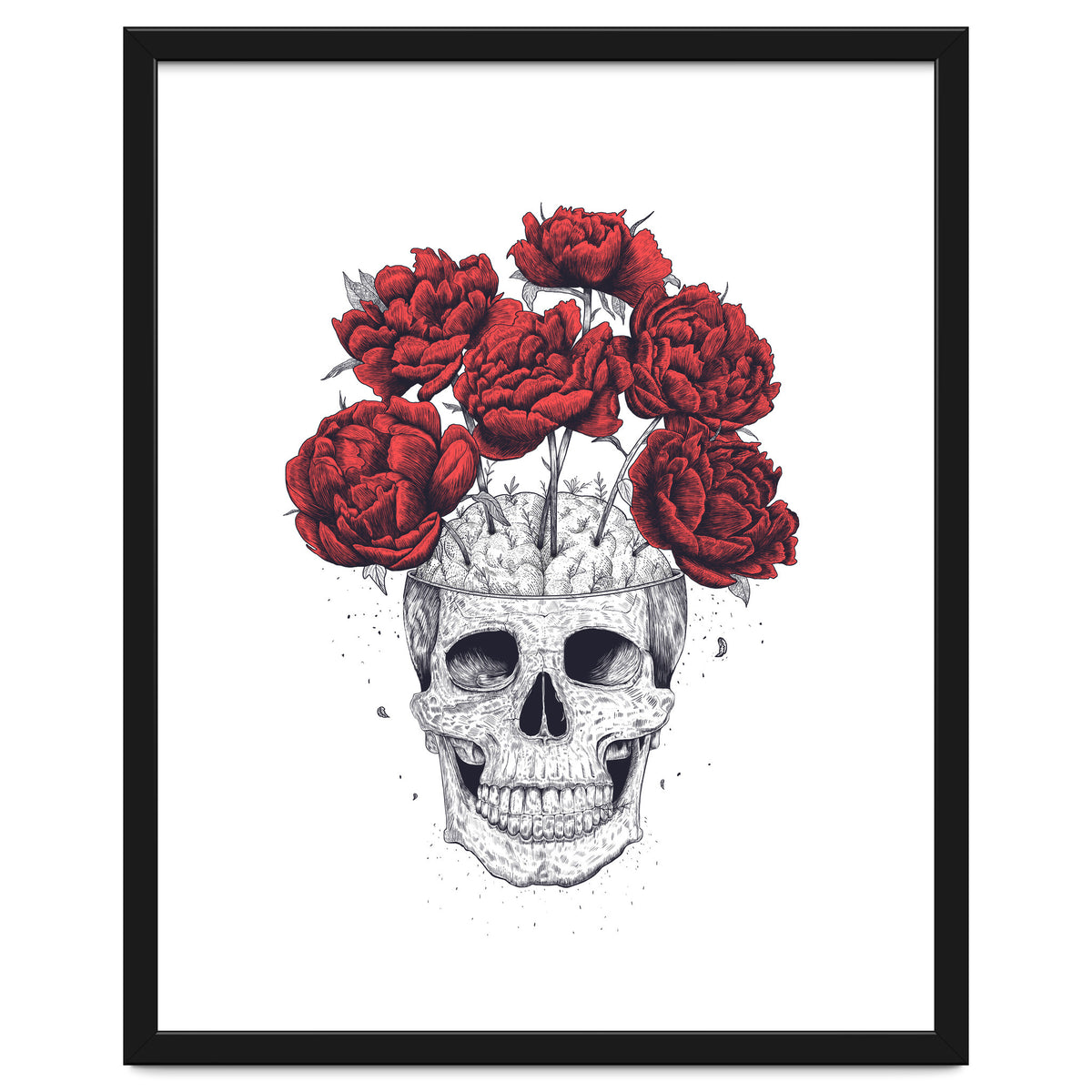 Skull With Peonies