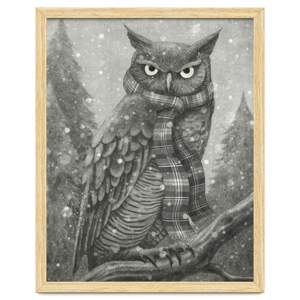 Winter Owl