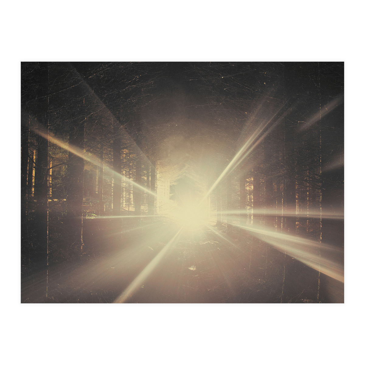 Why is Summer Mist Romantic and Autumn Mist just Sad? (Print Only)