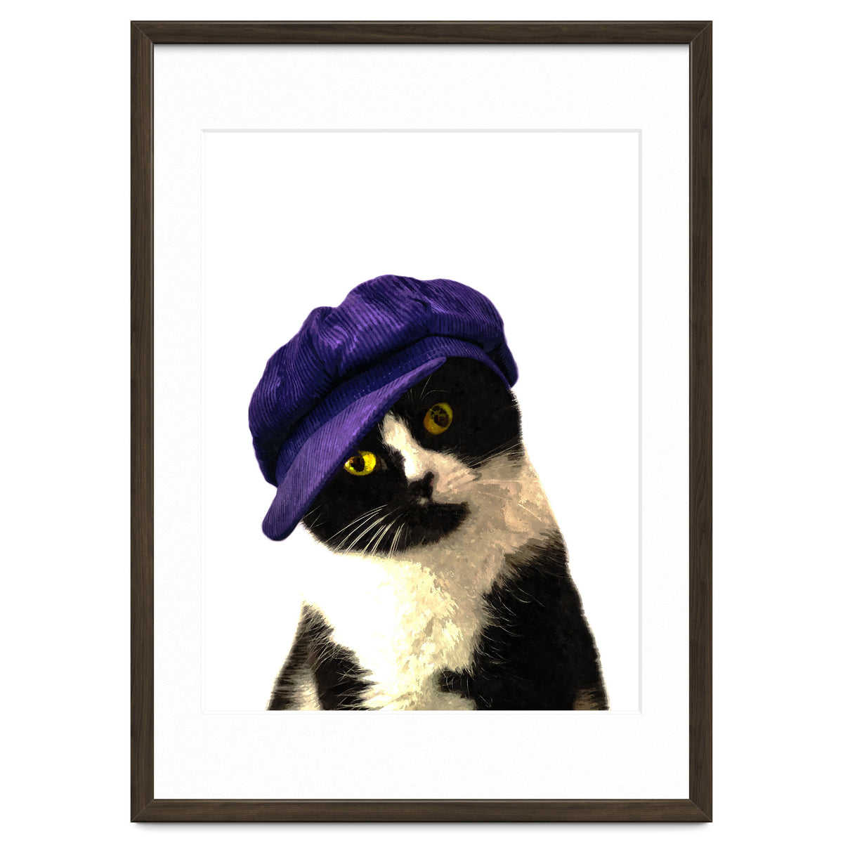 Cat Blue Hat