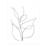 Plant Line Drawing (Print Only) thumbnail