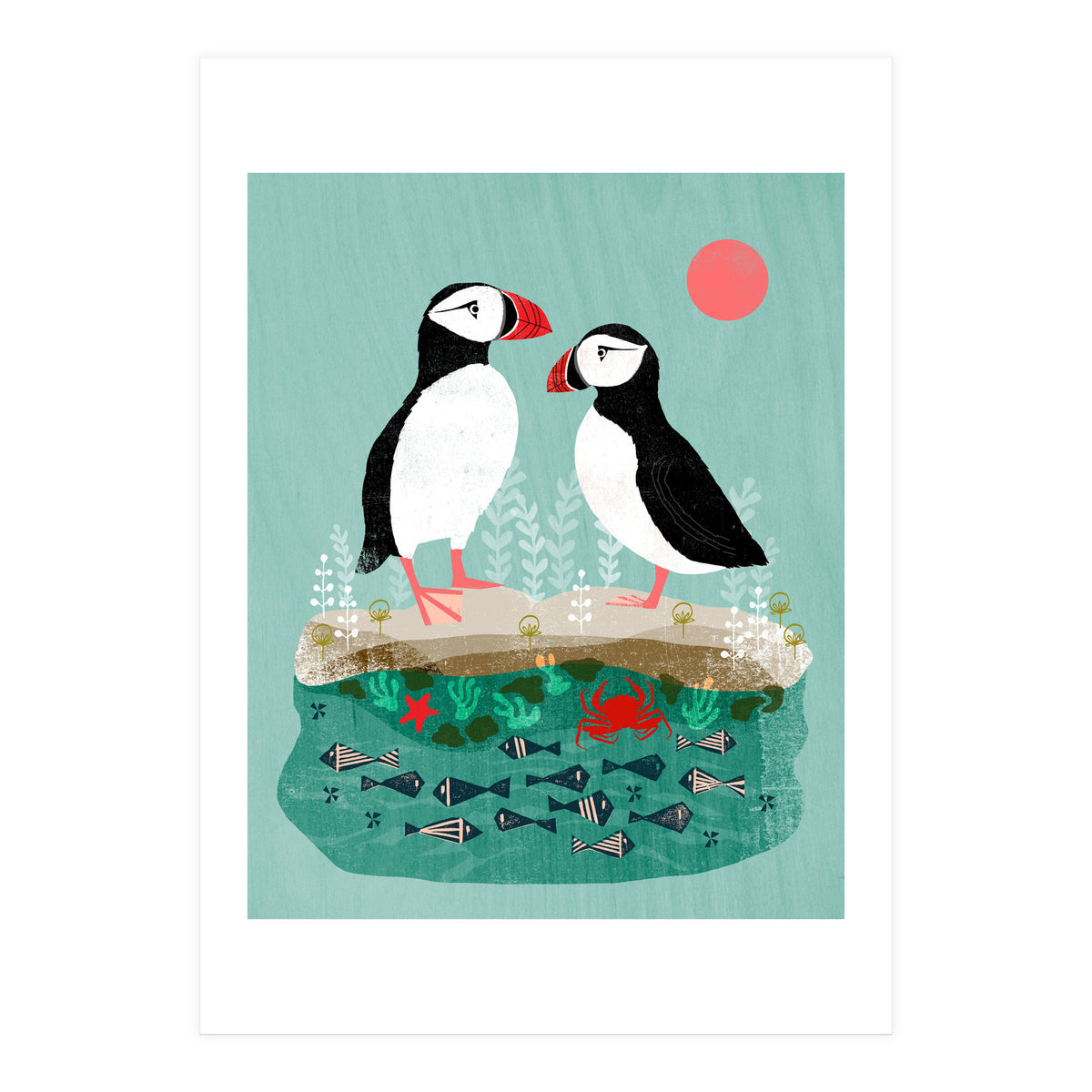 Puffin (Print Only)