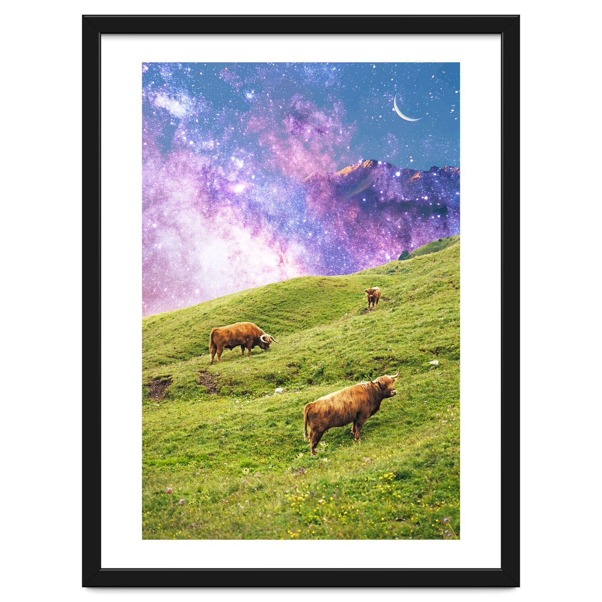 Space Cow Series II