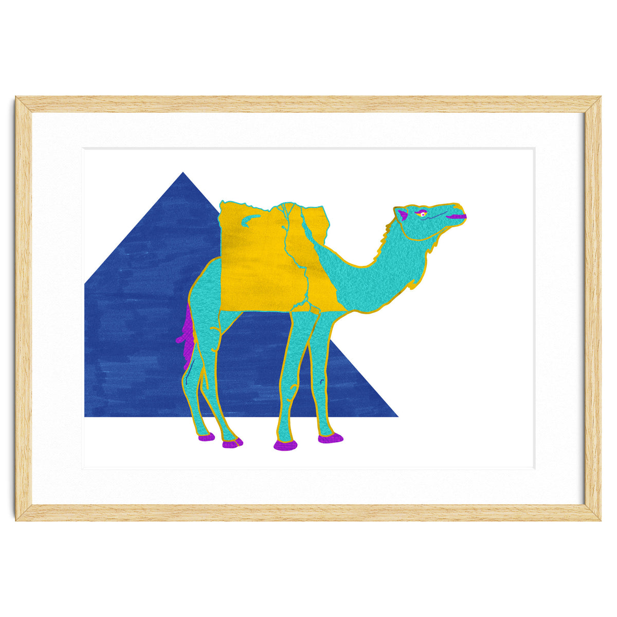 Egyptian Dromedary