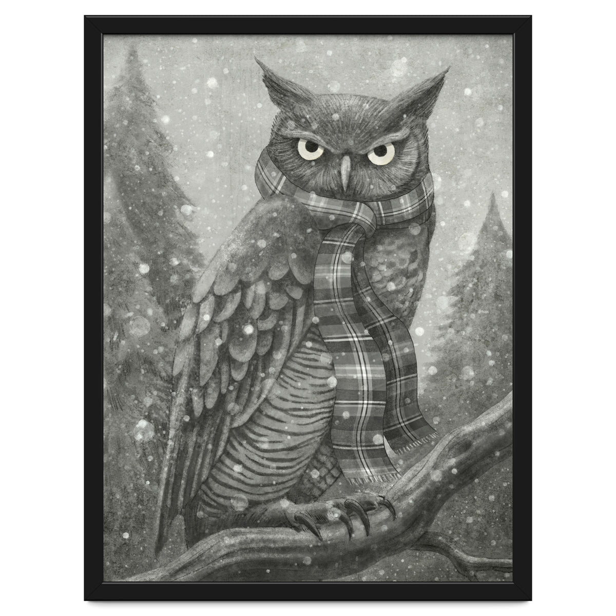 Winter Owl