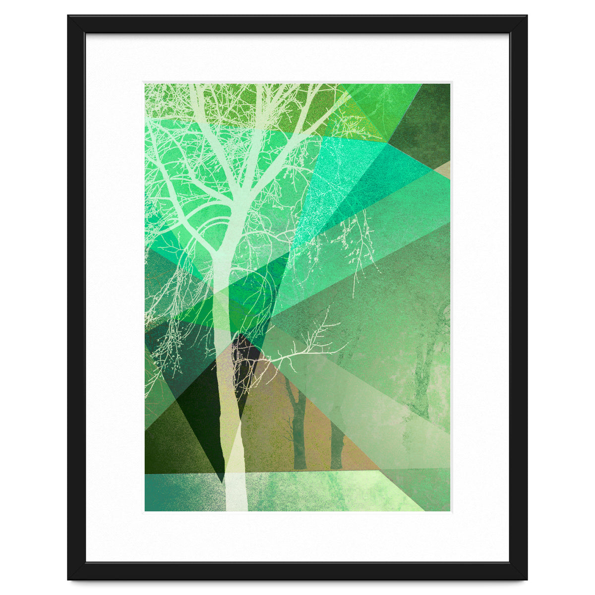 P22 B Trees And Triangles