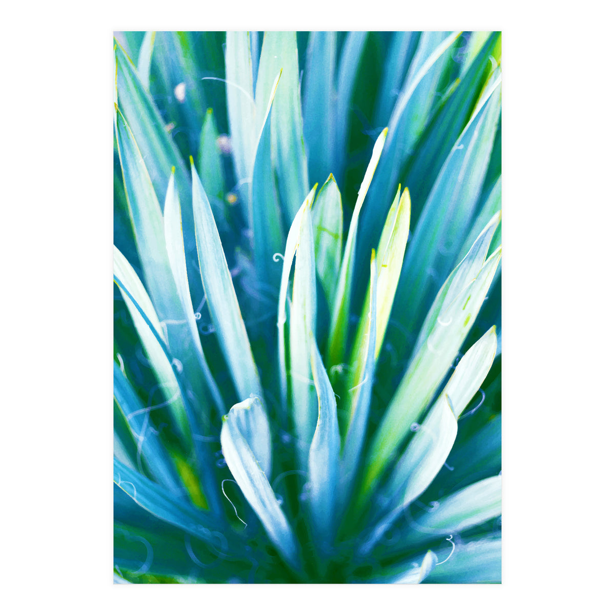 Heart Of Nature (Print Only)