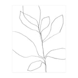 Seven Leaf Plant (Print Only) thumbnail