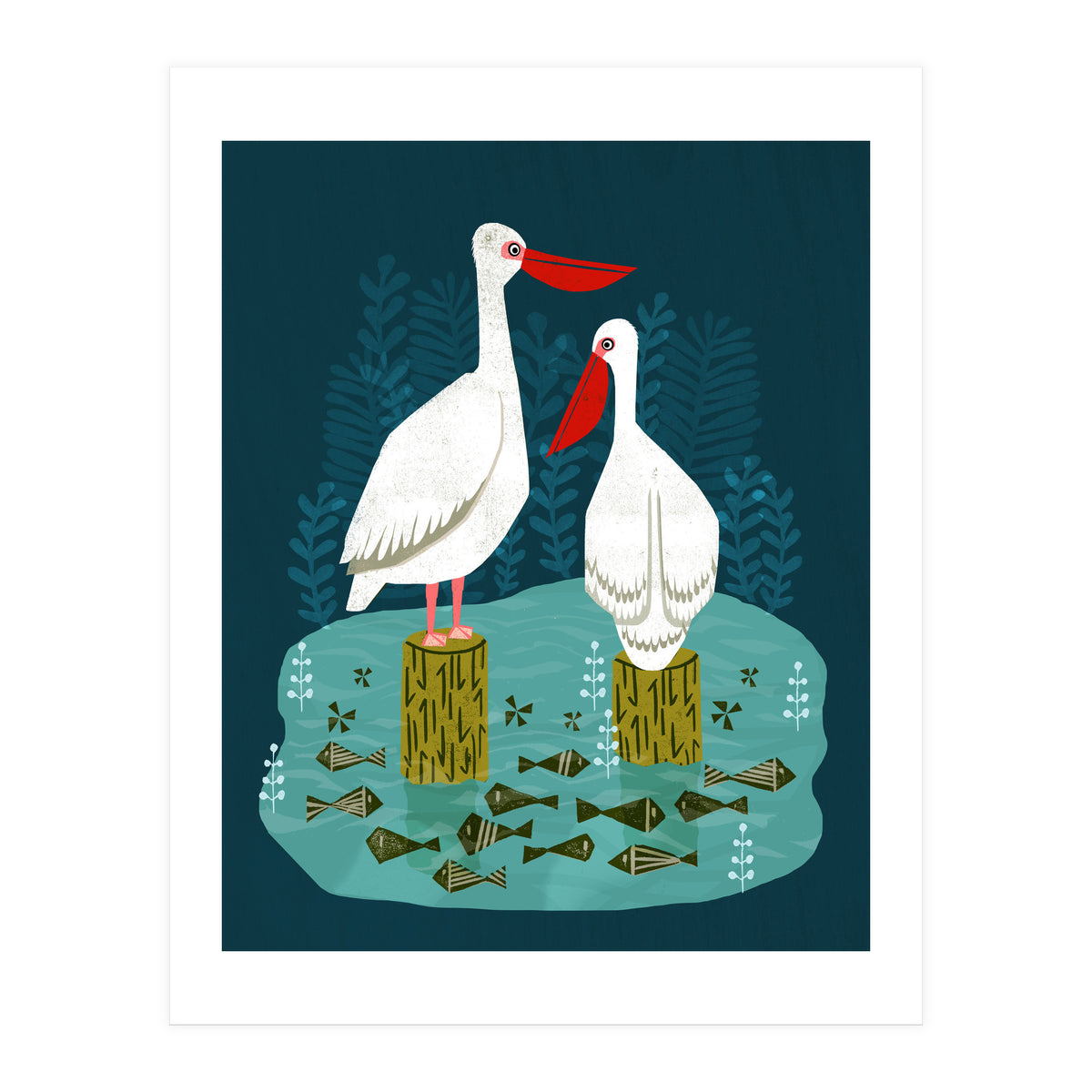 Pelicans (Print Only)
