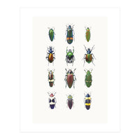 Cc Insects 03 (Print Only)