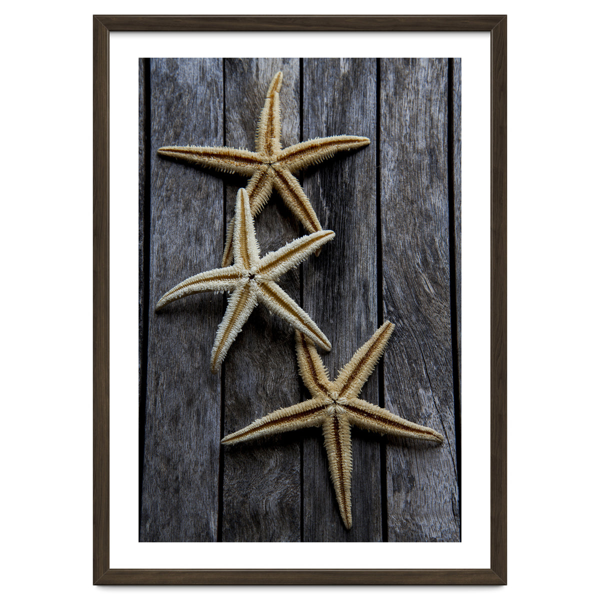 Starfishes in wooden