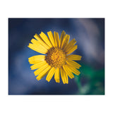 Butter (Print Only) thumbnail