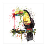 Toucan - Wildlife Collection (Print Only) thumbnail