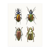 Cc Insects 09 (Print Only) thumbnail