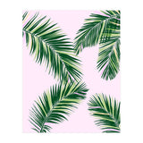 Palmfrond (Print Only) thumbnail