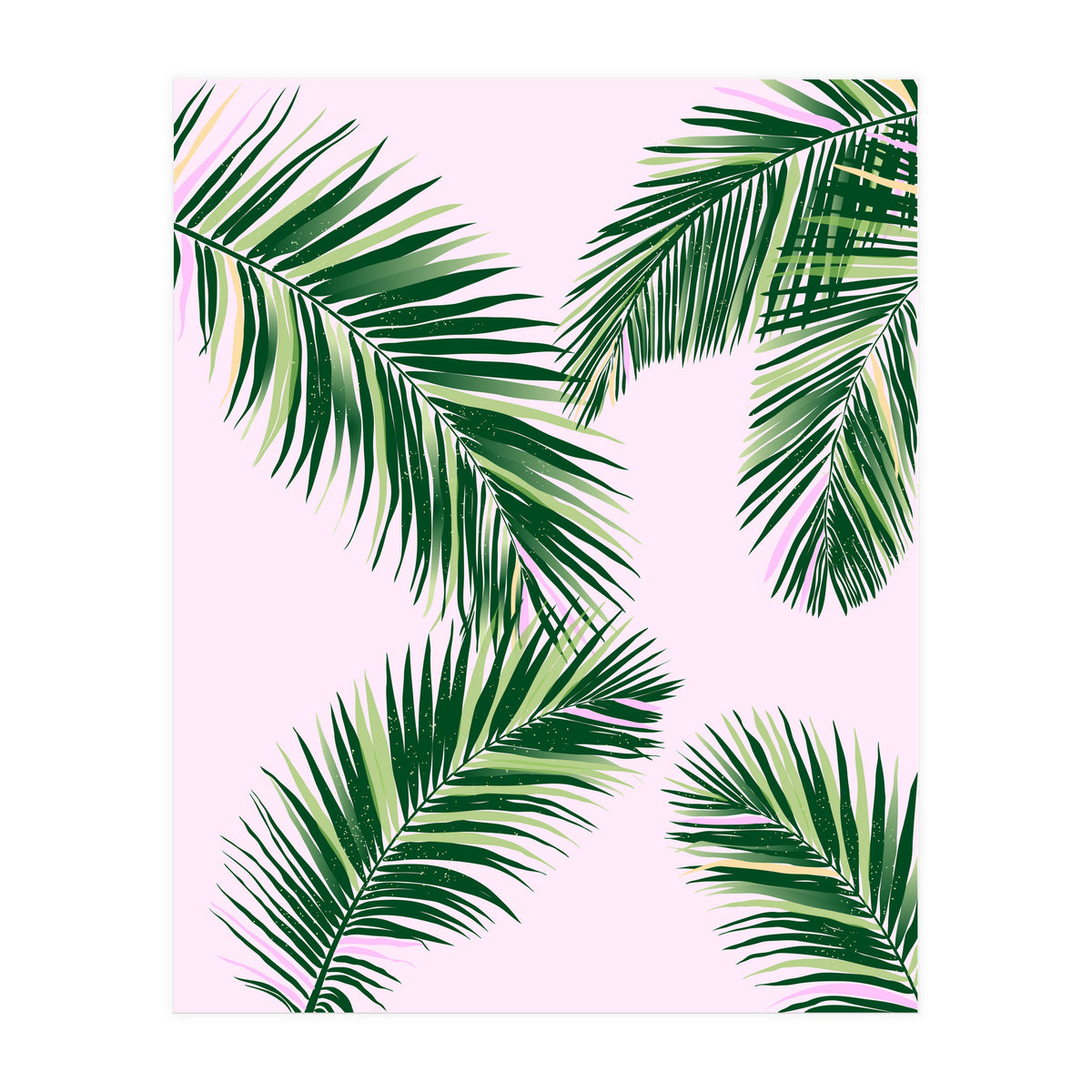 Palmfrond (Print Only)