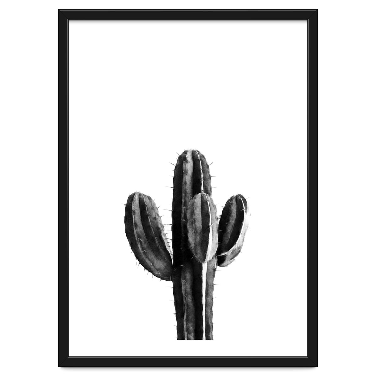 Cactus Black And White 03