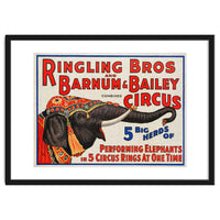 Ringling Bros & Barnum Bailey Circus Advertisement