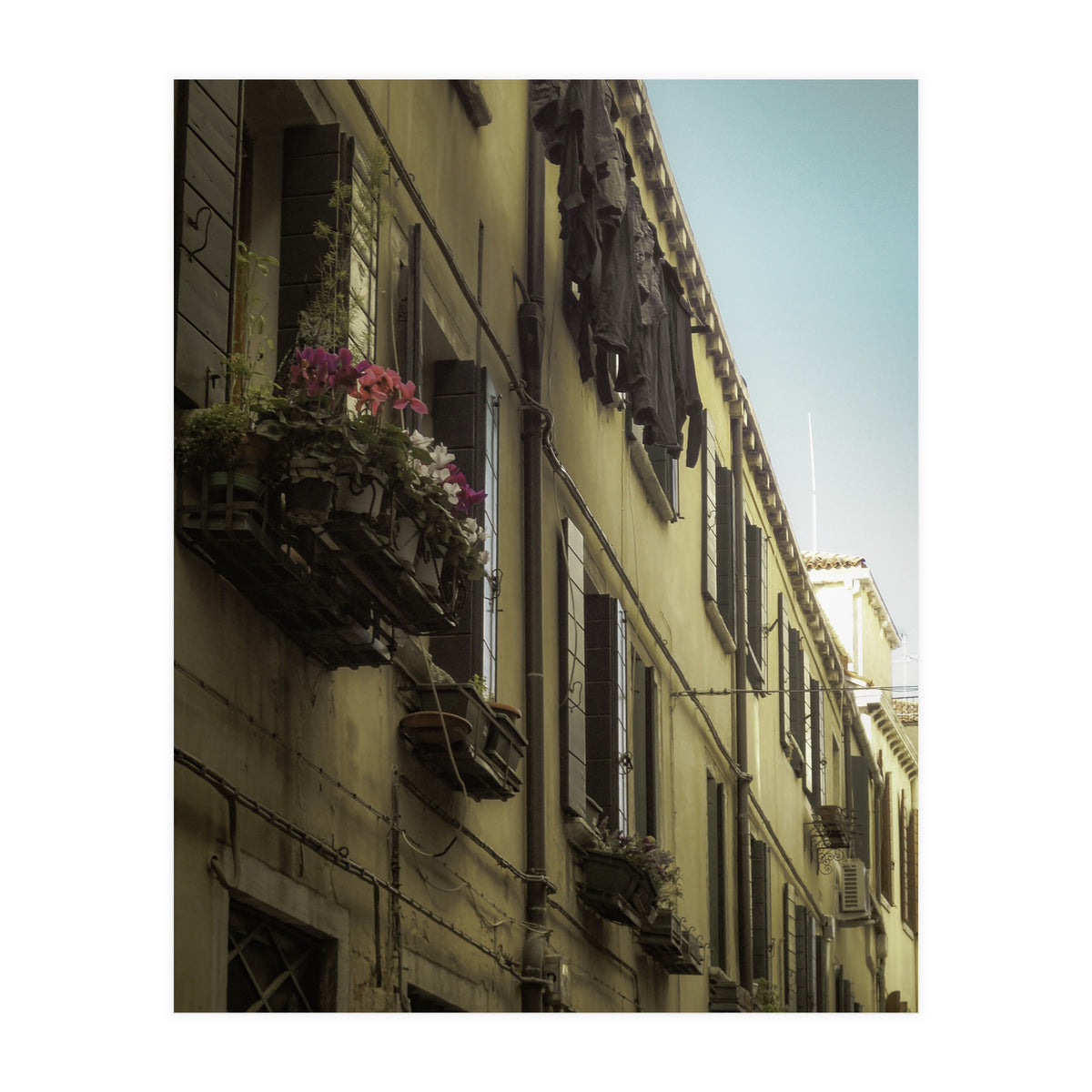 Windows From Tuscany 1 (Print Only)