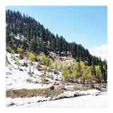 Kashmir V2 (Print Only) thumbnail