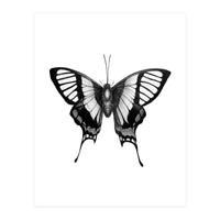 Butterfly Wings (Print Only)