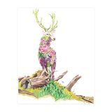 Floral May Stag (Print Only) thumbnail