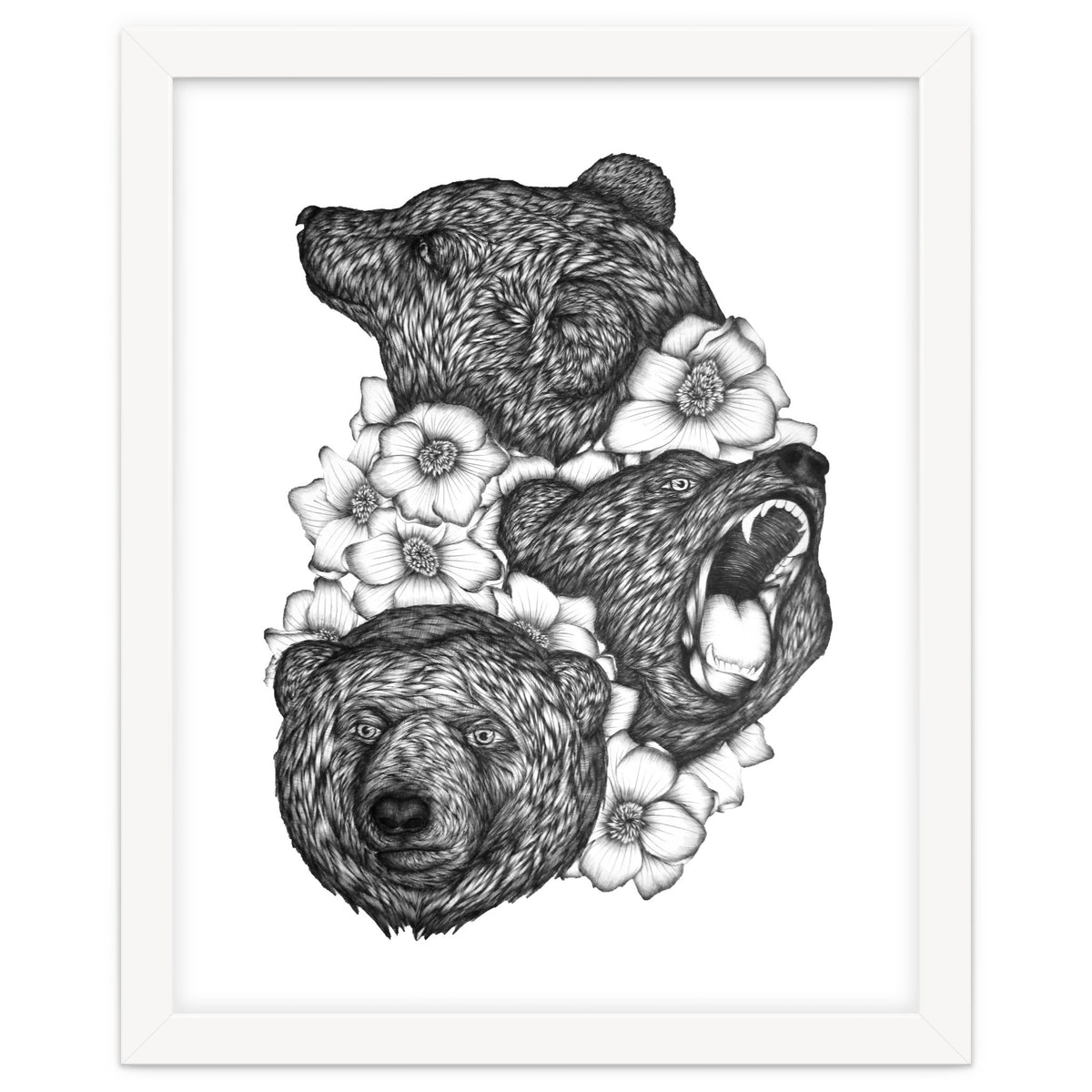 Bears In Bears