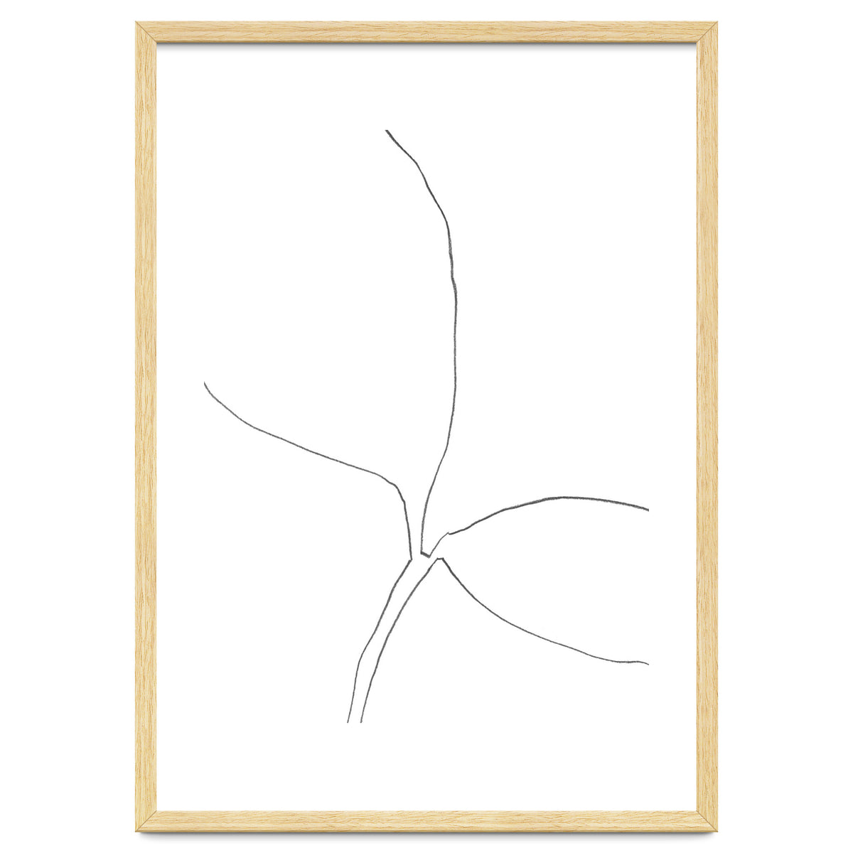 Seedling Leaning Right