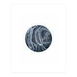 Entity (Print Only) thumbnail