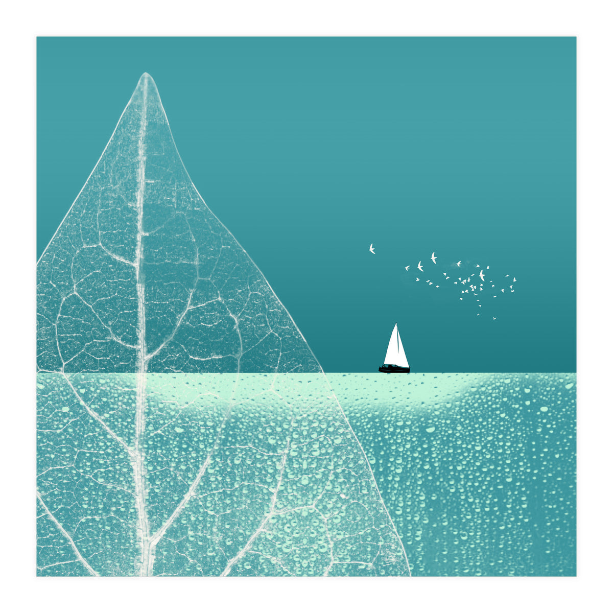 Ocean Wonderland Ii-B  (Print Only)