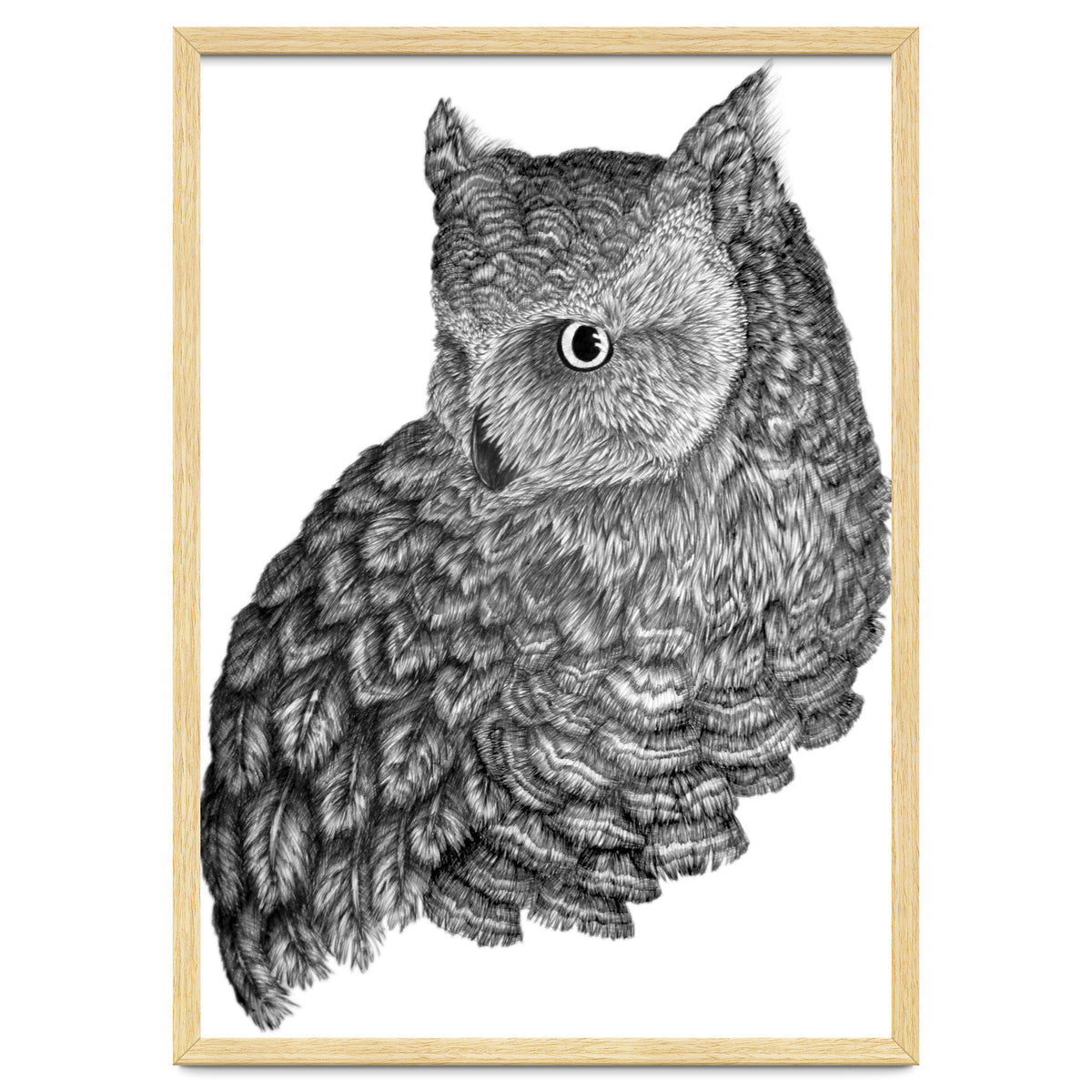 A Friend For Forsythe