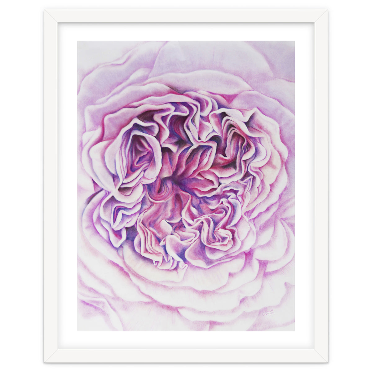 A Rose Is A Rose Std