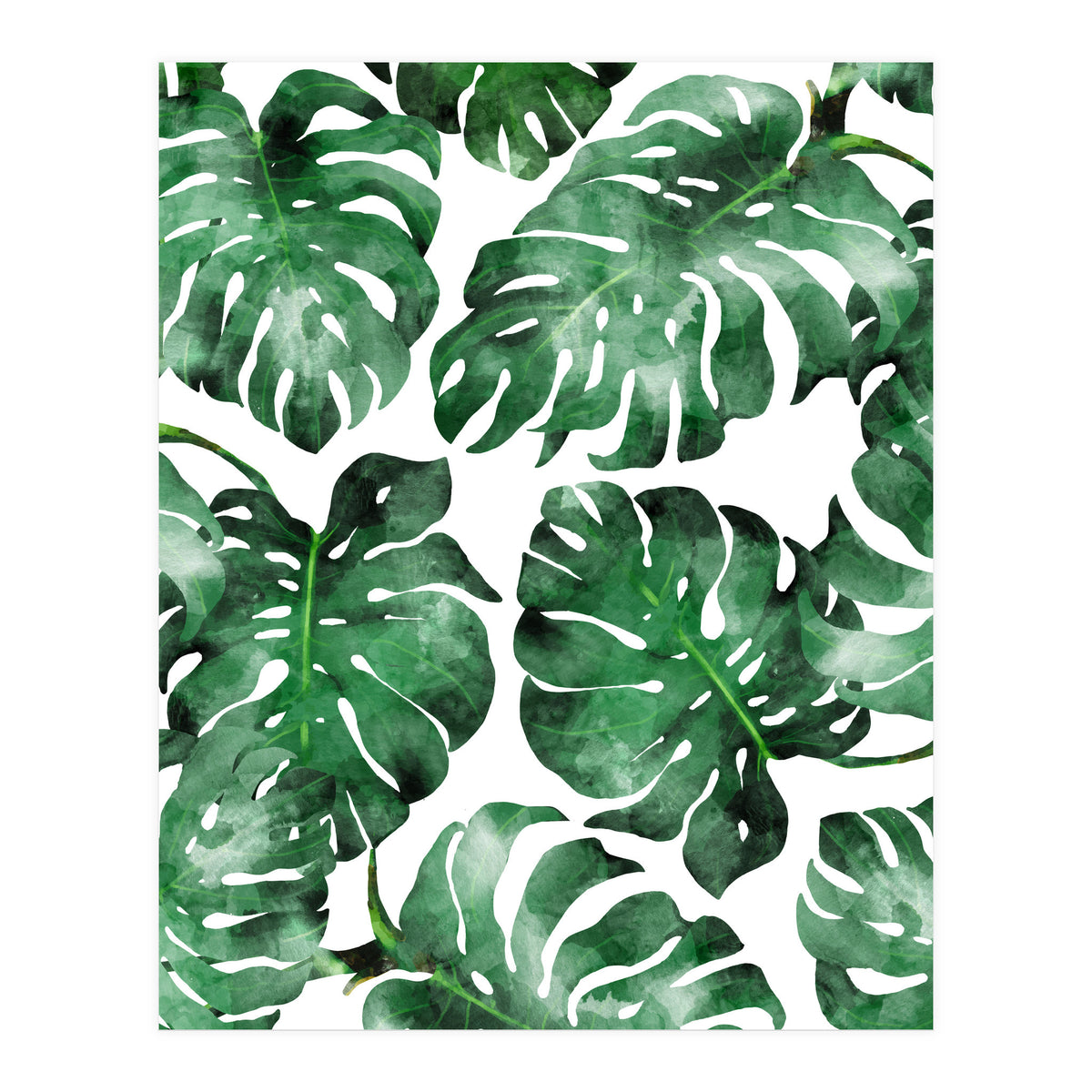 The Wild Spirit II (Print Only)